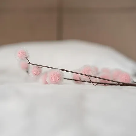 Stylowe I Eleganckie Studia Very Berry W Poznaniu By Renters *