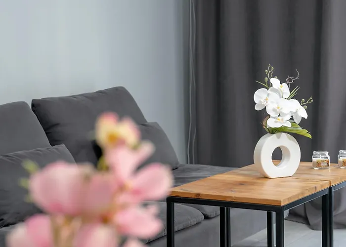 Stylowe I Eleganckie Studia Very Berry W Poznaniu By Renters Apartment Poznan