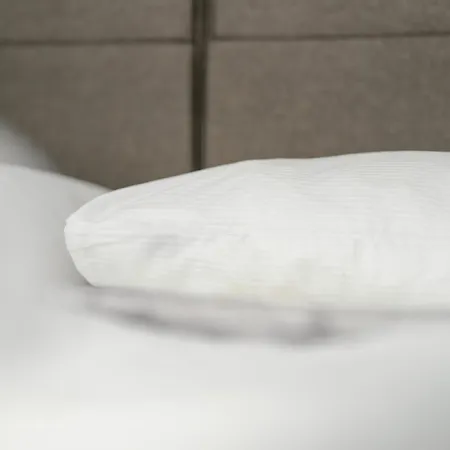 Stylowe I Eleganckie Studia Very Berry W Poznaniu By Renters