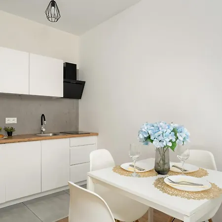 Appartement Stylowe I Eleganckie Studia Very Berry W Poznaniu By Renters