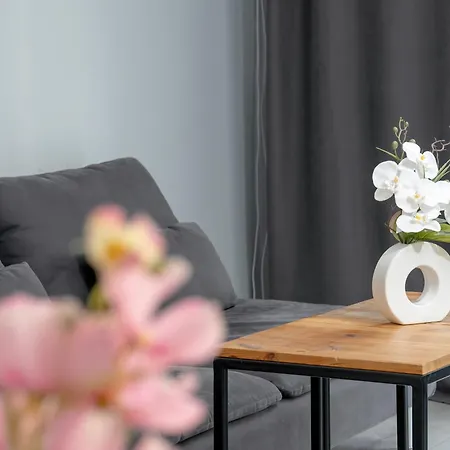 Stylowe I Eleganckie Studia Very Berry W Poznaniu By Renters Apartment Posen