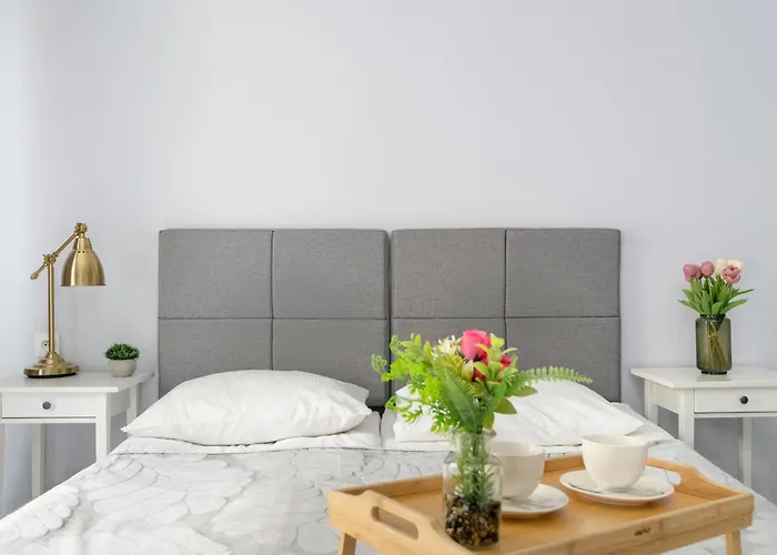 Stylowe I Eleganckie Studia Very Berry W Poznaniu By Renters Apartment