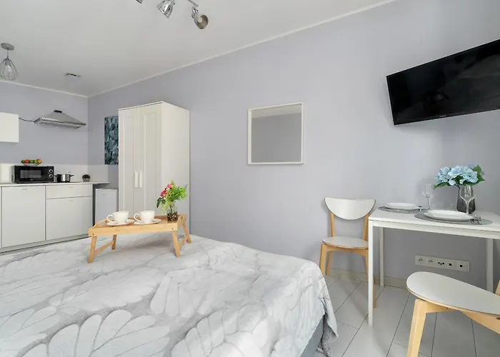 Stylowe I Eleganckie Studia Very Berry W Poznaniu By Renters *