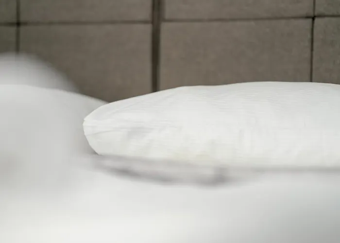 Stylowe I Eleganckie Studia Very Berry W Poznaniu By Renters