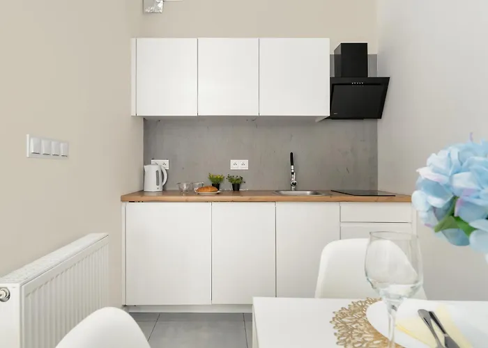 شقة Stylowe I Eleganckie Studia Very Berry W Poznaniu By Renters